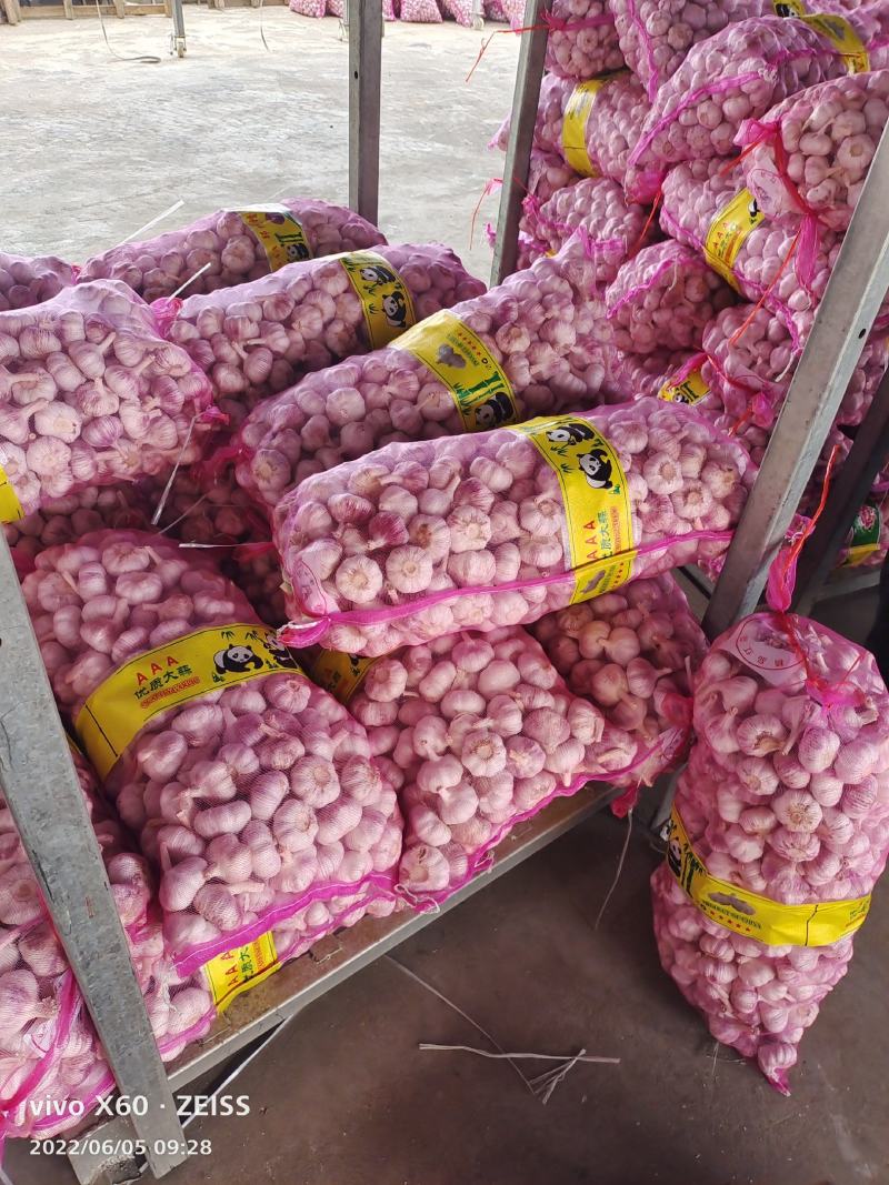【精选】精品大蒜江苏精品干蒜一手货源质优价优欢迎咨询