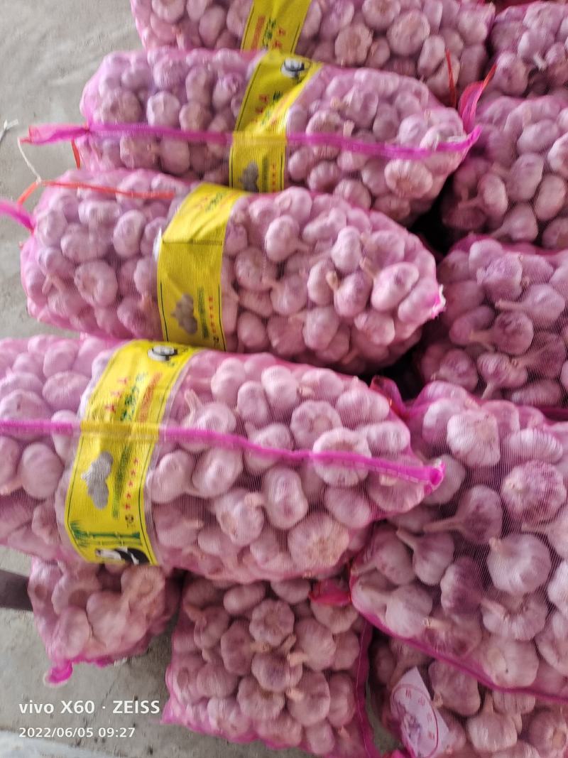 【精选】精品大蒜江苏精品干蒜一手货源质优价优欢迎咨询