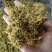 .批发铁皮石斛花石斛花干花泡水花茶干货石斛花50克
