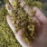 .批发铁皮石斛花石斛花干花泡水花茶干货石斛花50克