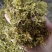 .批发铁皮石斛花石斛花干花泡水花茶干货石斛花50克