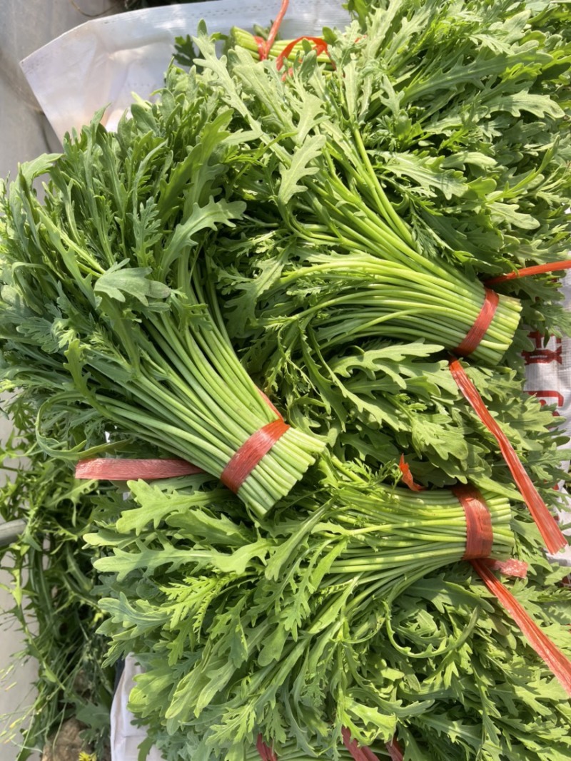 精品茼蒿菜