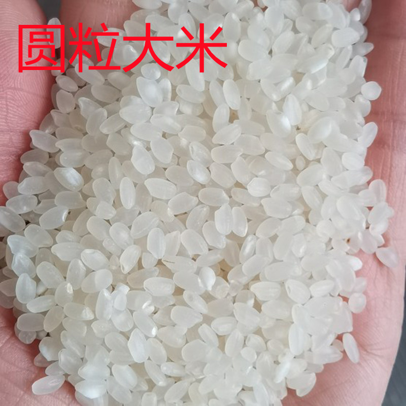圆粒大米酿酒食用大米现货供应大米整粒袋装50斤