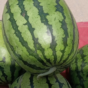 西瓜