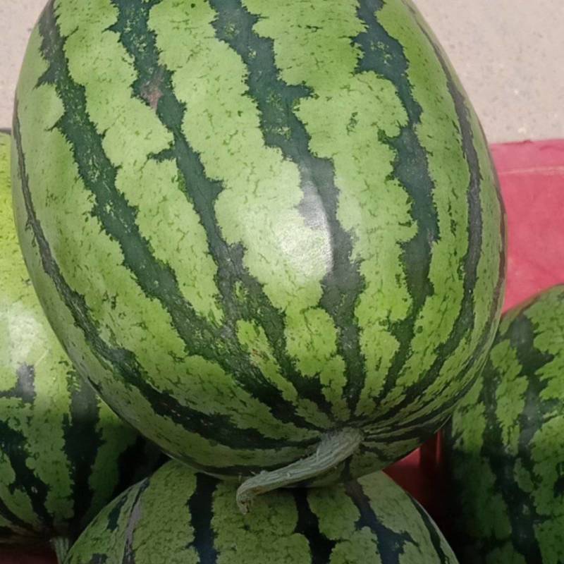 西瓜