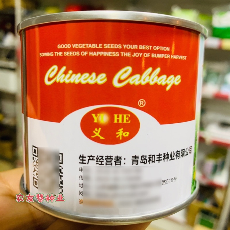 正宗义和秋大白菜种子秋播中晚熟结球白菜种子基地专用