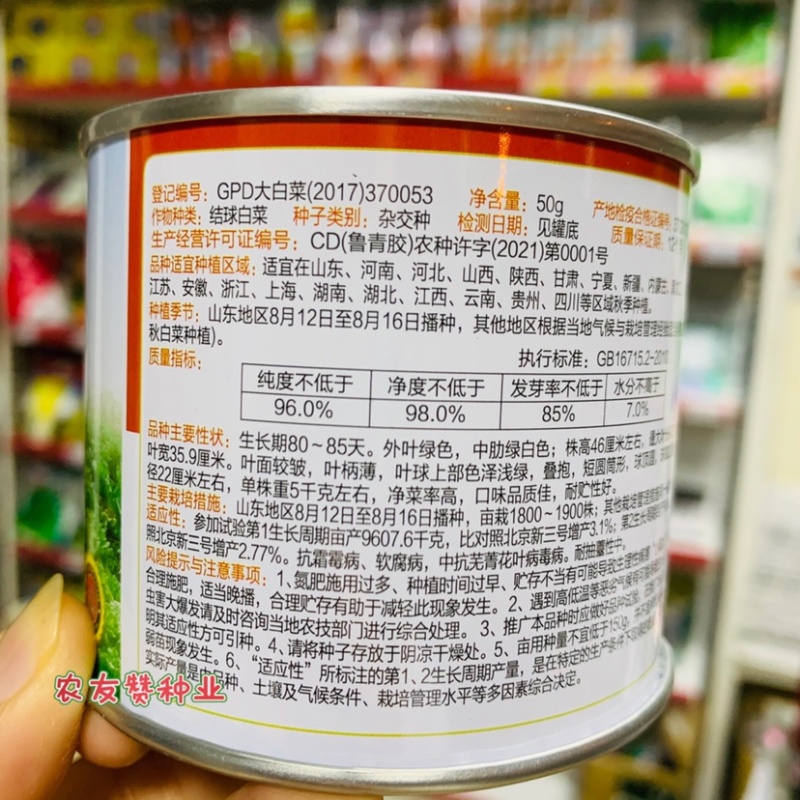 正宗义和秋大白菜种子秋播中晚熟结球白菜种子基地专用
