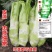 棒菜种子四川特色大棒菜春秋季农家种植薄皮棒菜种籽花叶芥菜