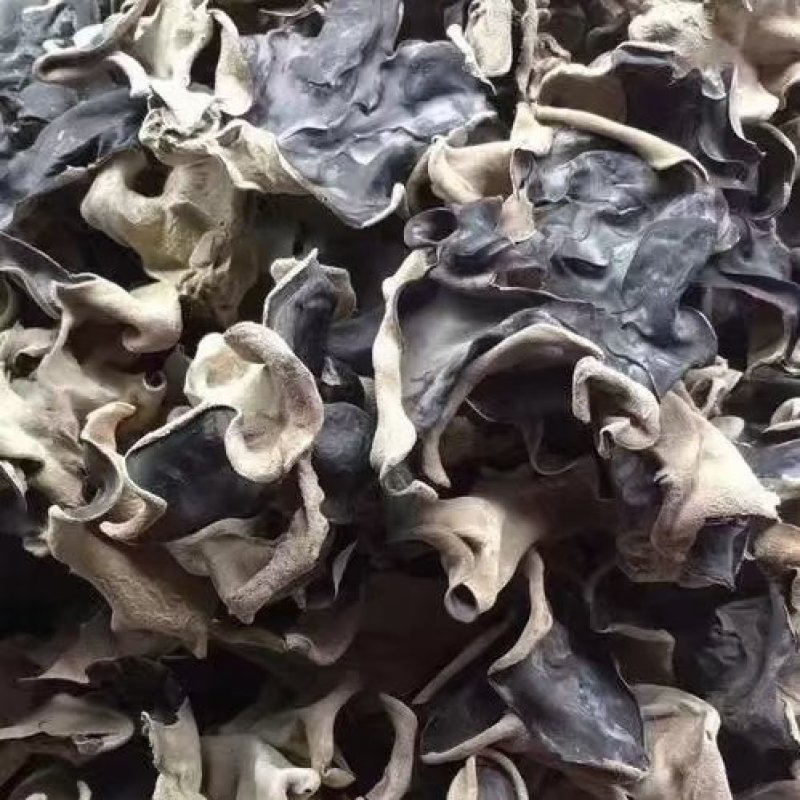 毛木耳，大包装批发售卖农产品木耳
