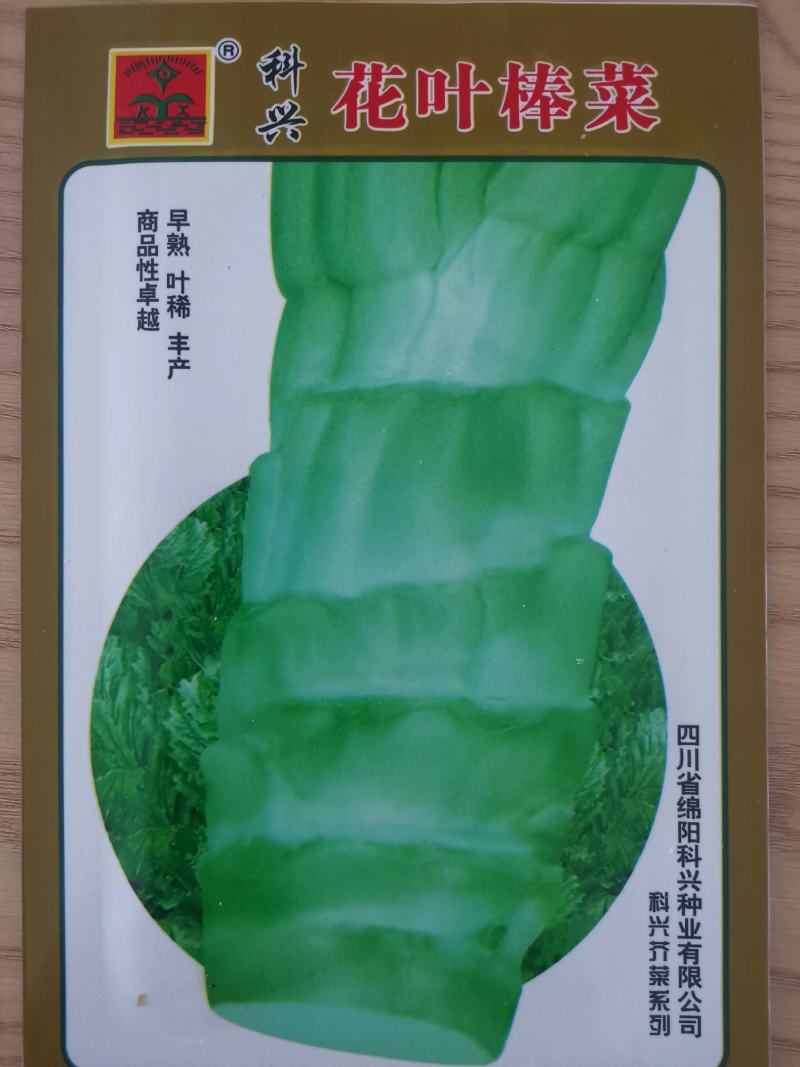 棒菜种子四川特色大棒菜春秋季农家种植薄皮棒菜种籽花叶芥菜
