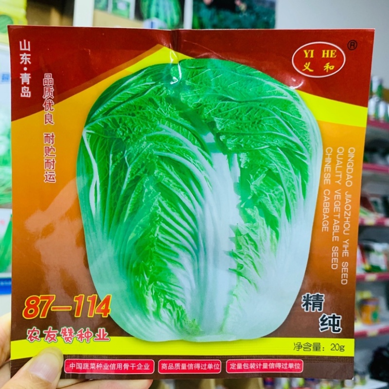 山东义和精纯87114大白菜种子短圆筒形结球白菜秋白菜