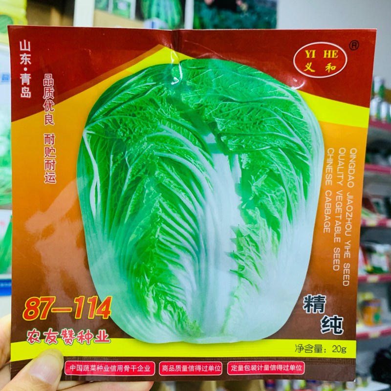 山东义和精纯87114大白菜种子短圆筒形结球白菜秋白菜