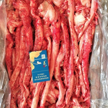母猪新管