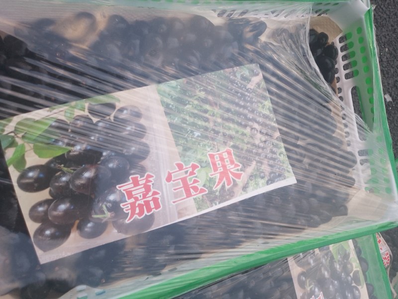 嘉宝果全国供应#市场批发超市电商平台盒马生鲜淘宝京东抖音