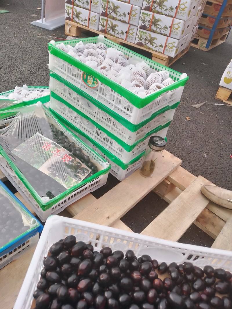 嘉宝果全国供应#市场批发超市电商平台盒马生鲜淘宝京东抖音
