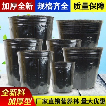 育苗杯营养钵加厚一次性育苗盆穴盆种植苗圃育苗花盆黑色营养