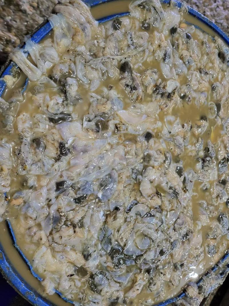夏夷贝裙边，虾，蟹，饲料！满满的蛋白质！干板，不加水！绝