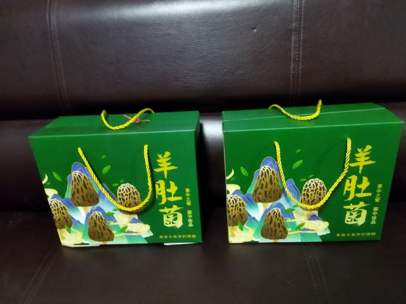 每年大量供应羊肚菌母种，原种，栽培种欢迊全国各地用户光临