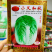 正宗小义和秋白菜种子好吃好卖结球大白菜种子净菜率高