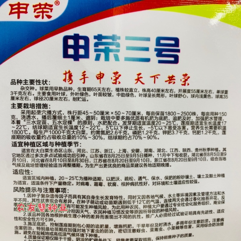 申荣三号黄心白菜种子长筒形白菜种籽早熟耐贮运秋播白菜