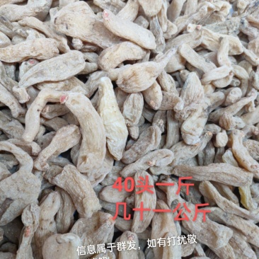 正宗昭通小草坝天麻。大量批发，大量供应。