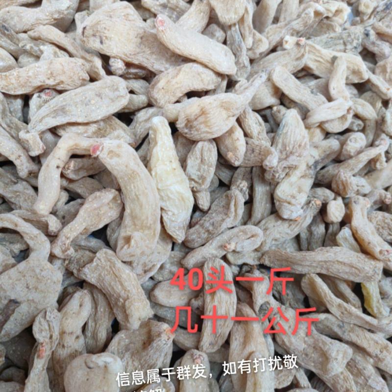 正宗昭通小草坝天麻。大量批发，大量供应。
