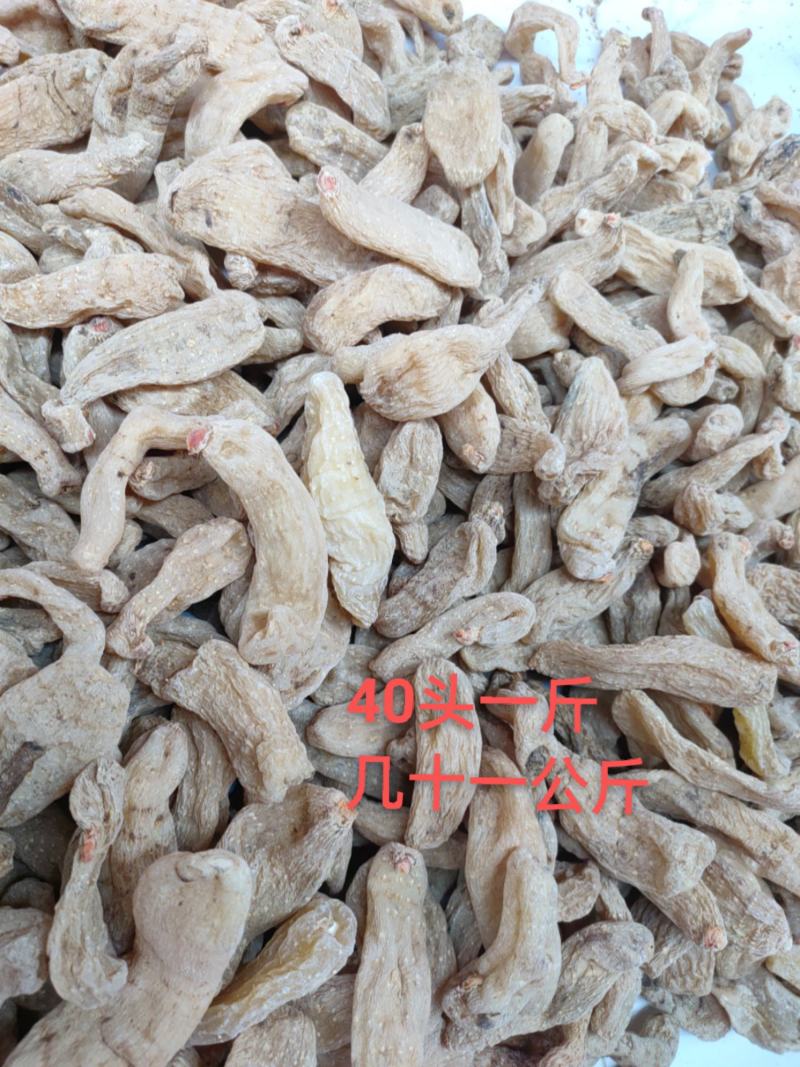 正宗昭通小草坝天麻。大量批发，大量供应。