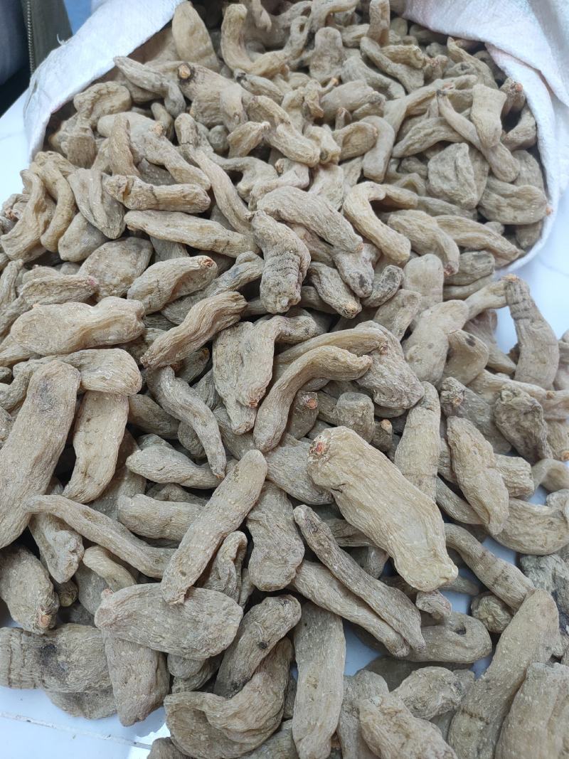 正宗昭通小草坝天麻。大量批发，大量供应。