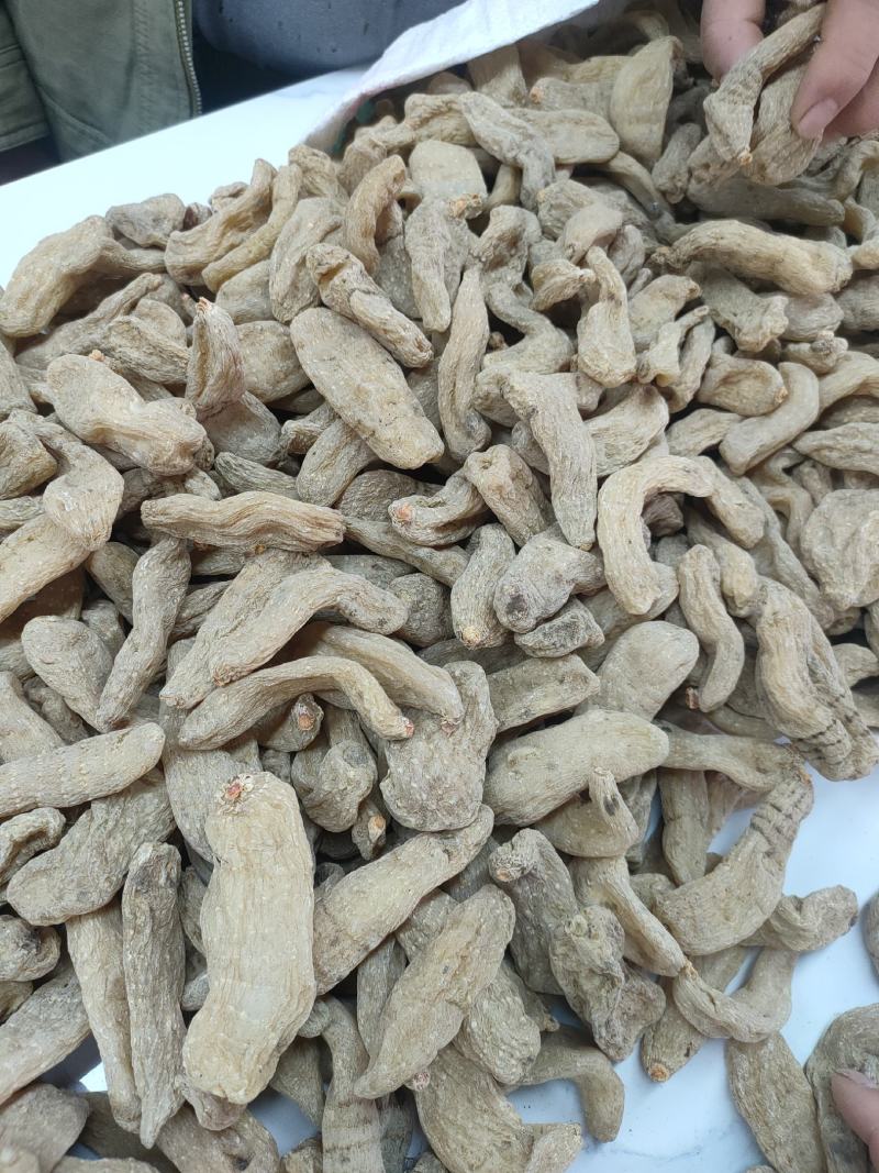 正宗昭通小草坝天麻。大量批发，大量供应。