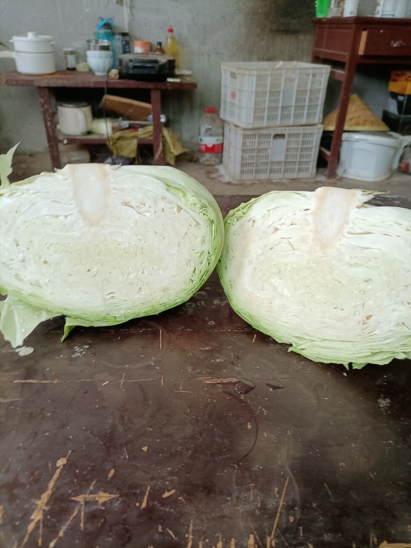 扁包菜