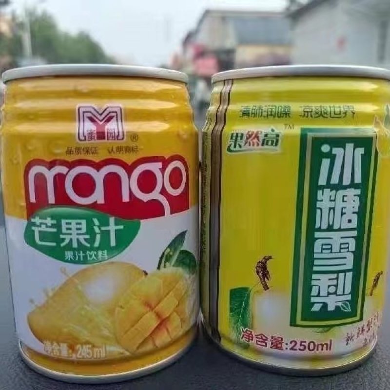 13.5出山东罐装果汁2口味245mlX24
