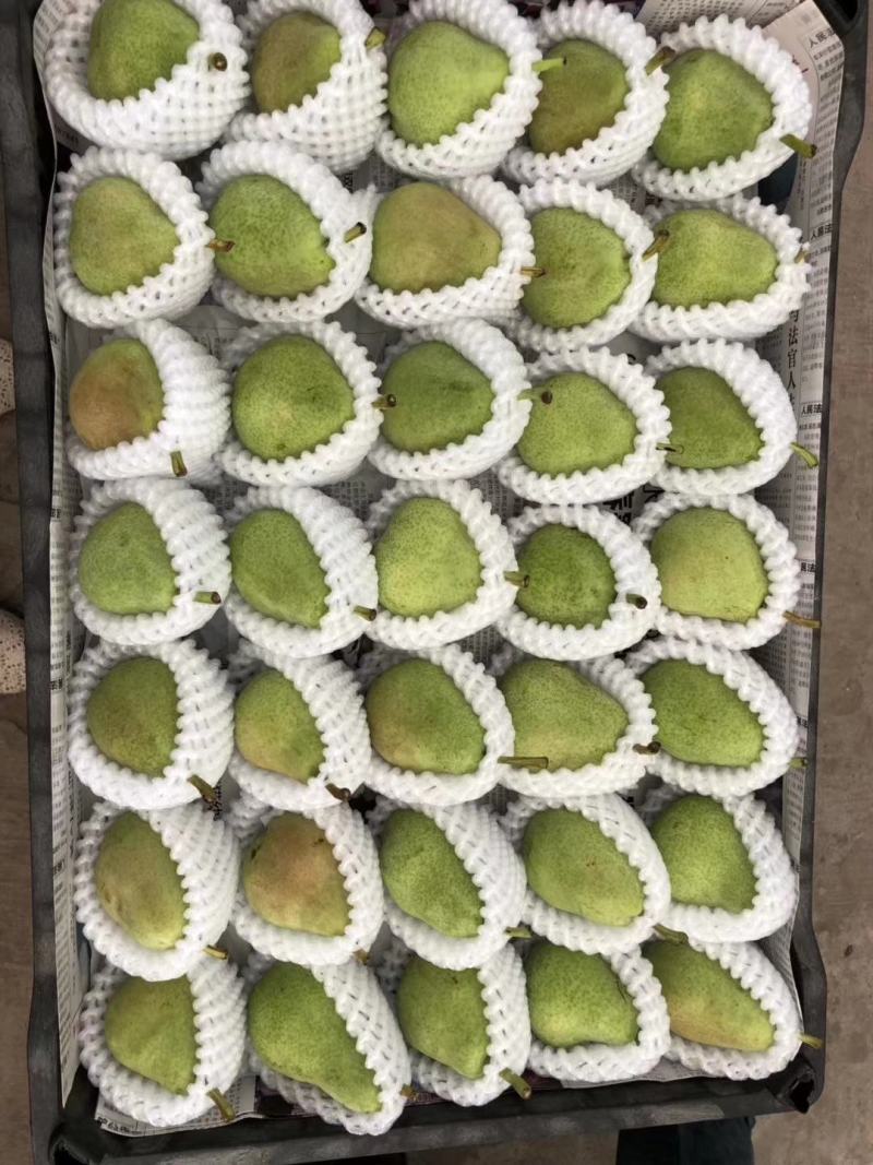 一面红梨