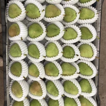 一面红梨