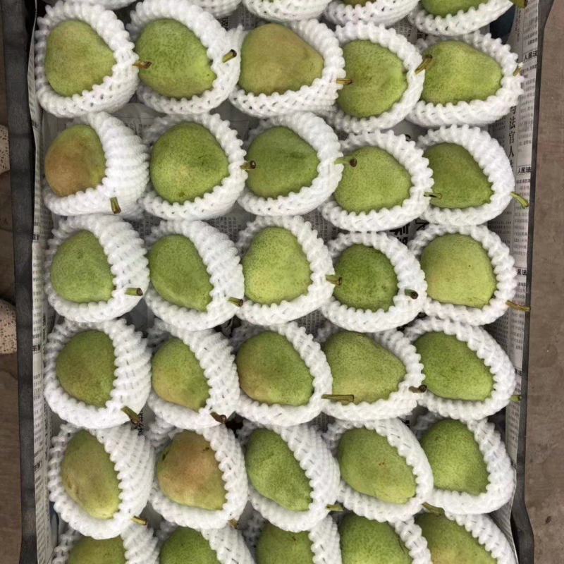 一面红梨