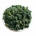 桑叶茶桑叶茶桑叶茶花茶中药材一公斤起批