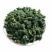 桑叶茶桑叶茶桑叶茶花茶中药材一公斤起批