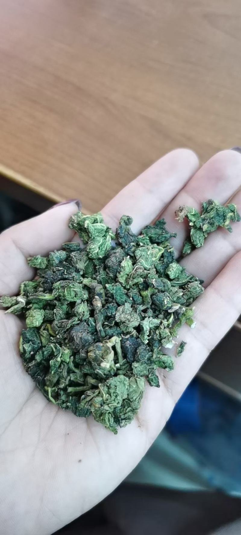 桑叶茶桑叶茶桑叶茶花茶中药材一公斤起批