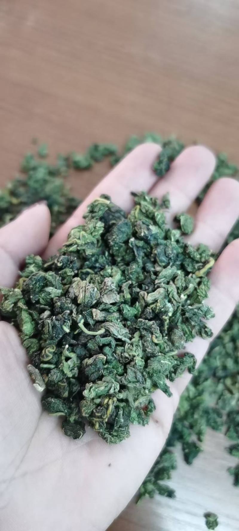 桑叶茶桑叶茶桑叶茶花茶中药材一公斤起批