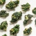 桑叶茶桑叶茶桑叶茶花茶中药材一公斤起批