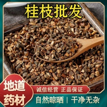 桂枝尖头部桂枝广西桂枝桂枝尖一公斤起批