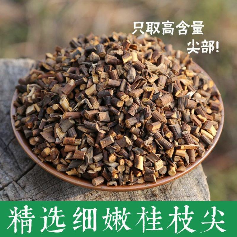 桂枝尖头部桂枝广西桂枝桂枝尖一公斤起批