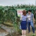 玻璃纤维管定植杆果苗幼苗茄子辣椒玻璃钢攀爬杆玻璃纤维棒