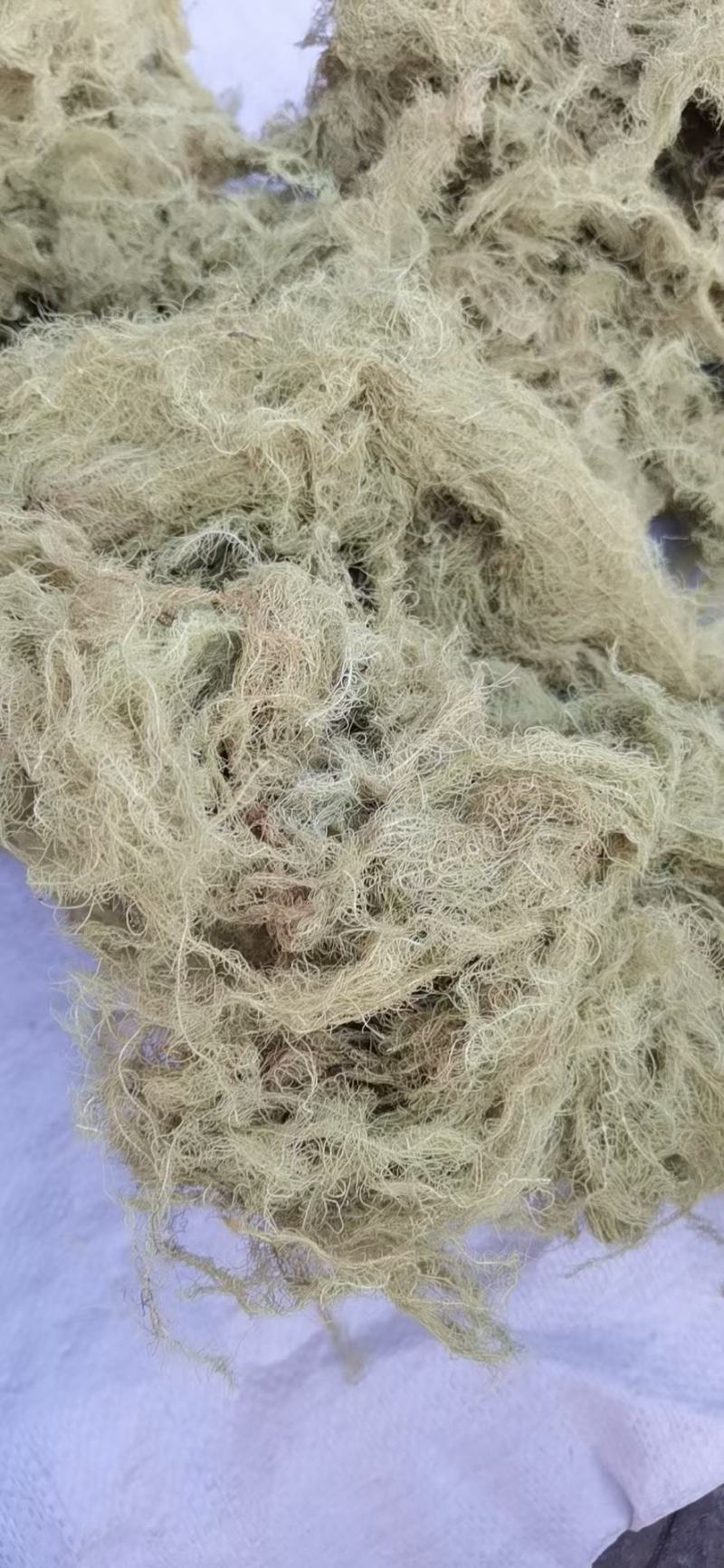 云雾草冷货齐全天蓬草老君须产地草药一公斤起批
