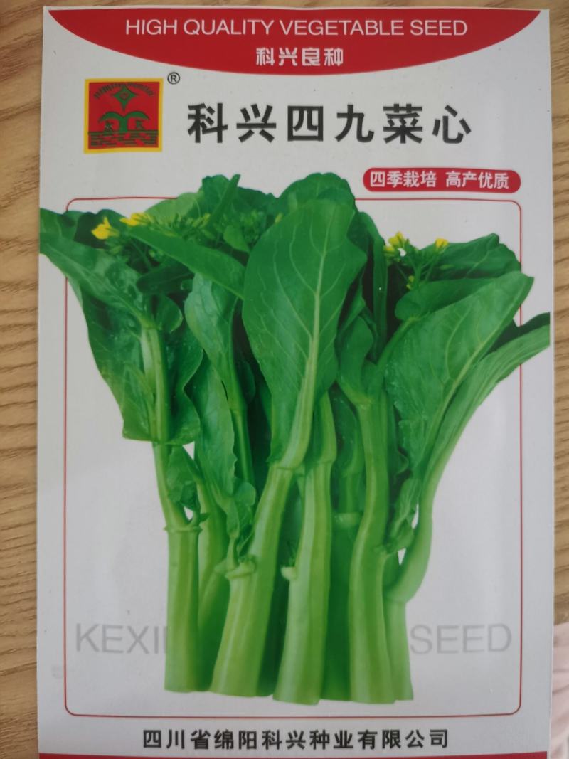 四九菜心种子油青甜菜芯苔薹种籽小青菜四川夏秋耐热田园蔬菜