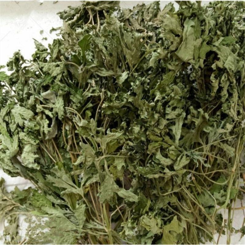 益母草产地草药益母草青货一公斤起批无硫