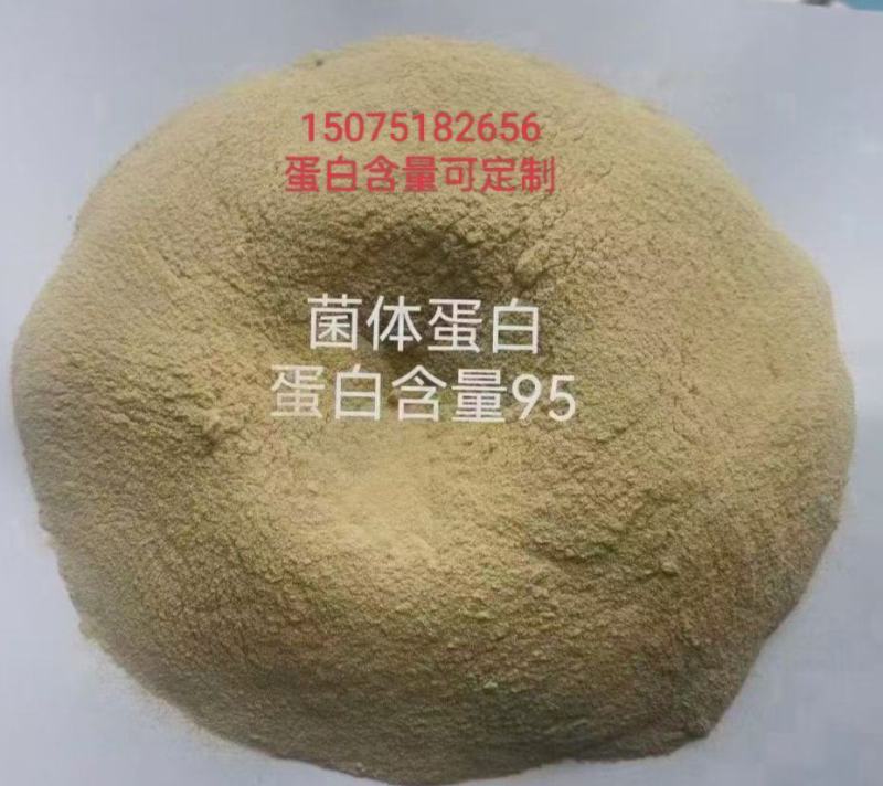 菌体蛋白40-50-60-80-90蛋白含量支持定制