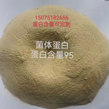菌体蛋白40-50-60-80-90蛋白含量支持定制