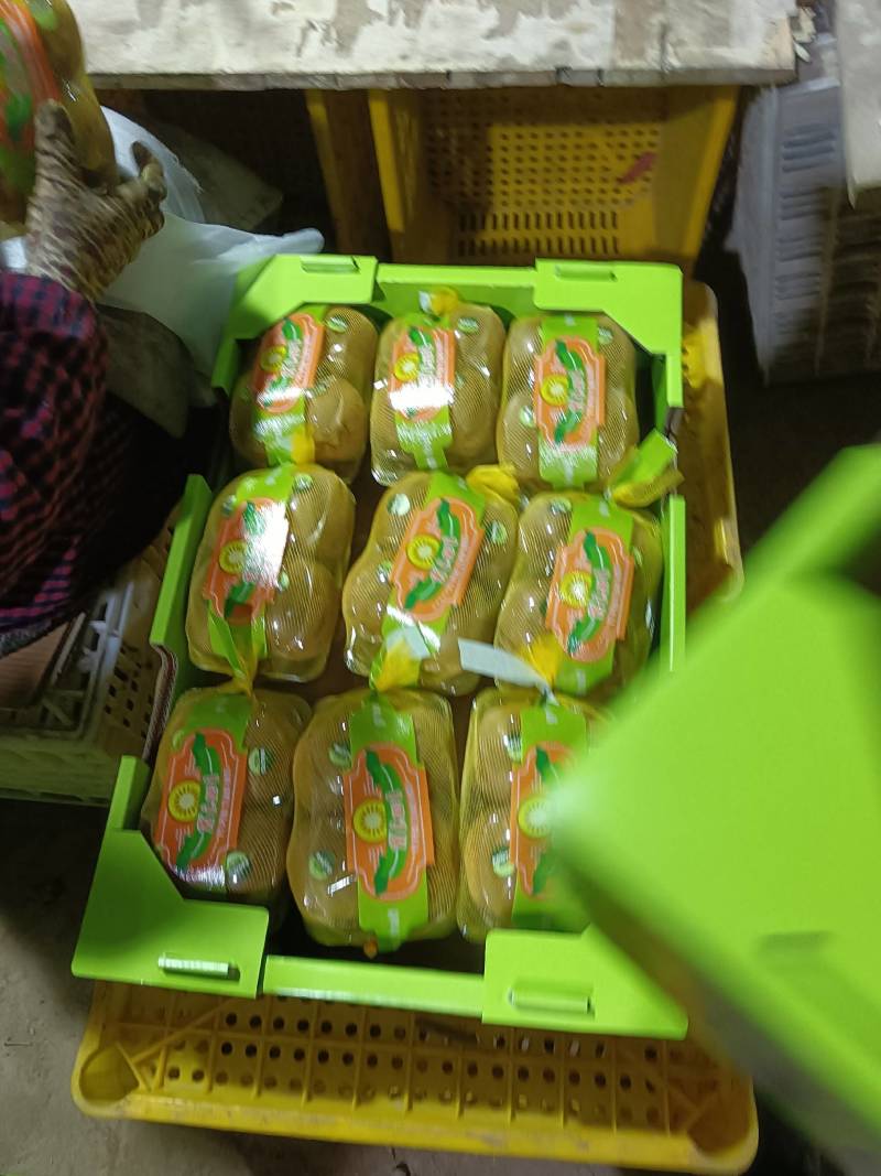 海沃德猕猴桃！奇异果陕西省西安周至果型好。