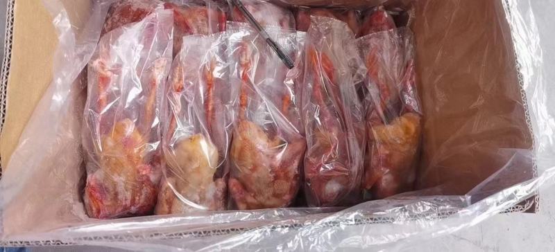 鸽子5-9两有货，质量很好规格齐全价格实惠现货出售