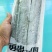 国产带鱼东海带鱼一袋2斤一件8袋两去带鱼